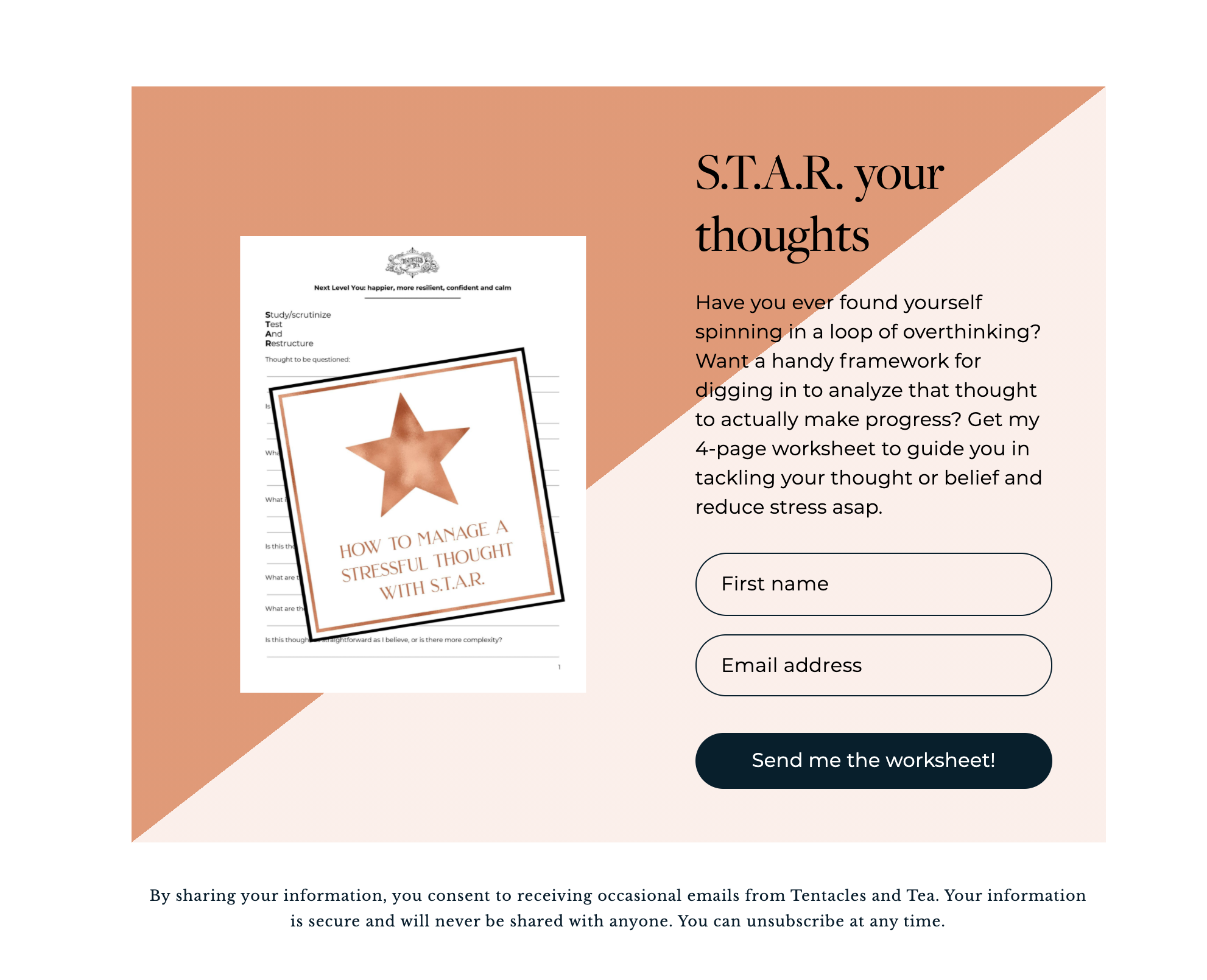 7-newsletter-signup-form-examples-to-grow-your-email-list