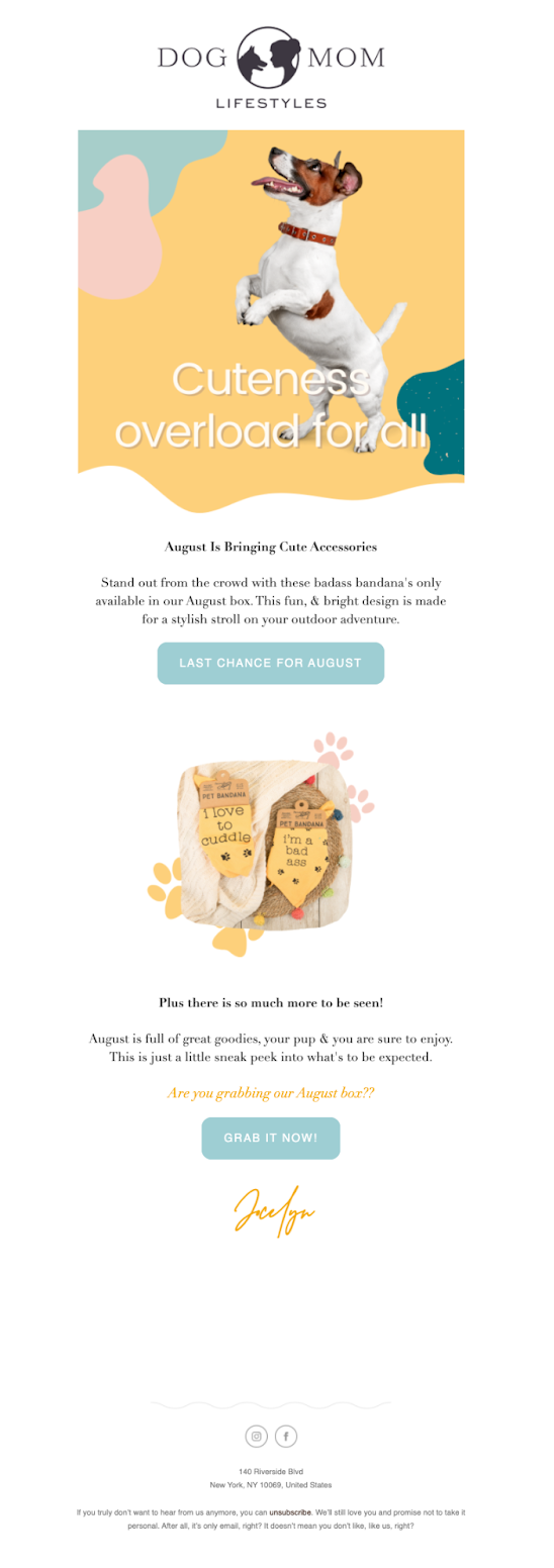 6 Compelling Win Back Customer Template Ideas