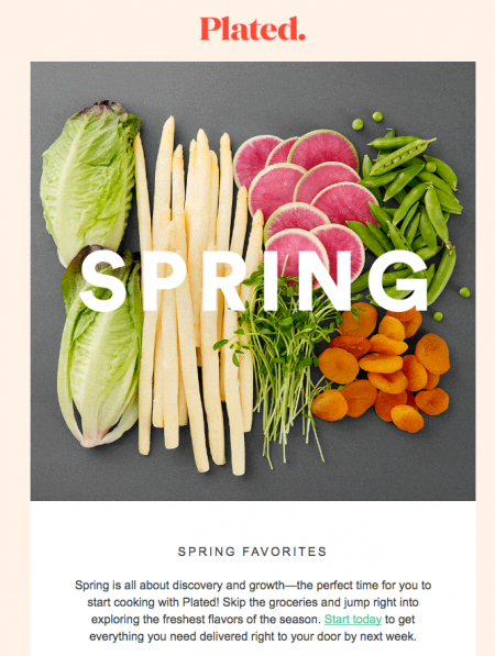 14 Spring Newsletter Ideas & Subject Lines (with Examples)
