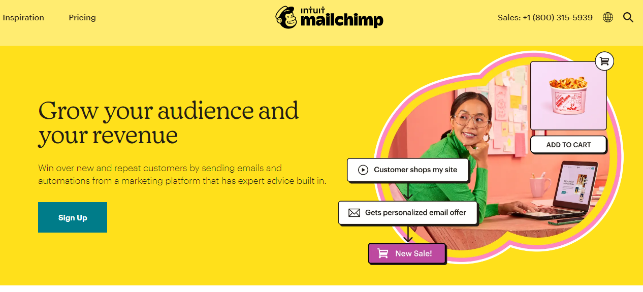 Mailchimp Interface