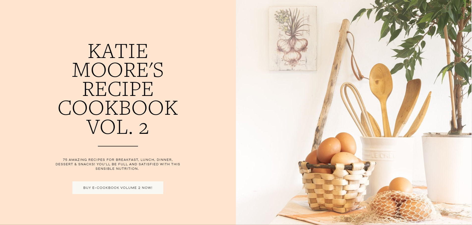 Katie moore cookbook promo email