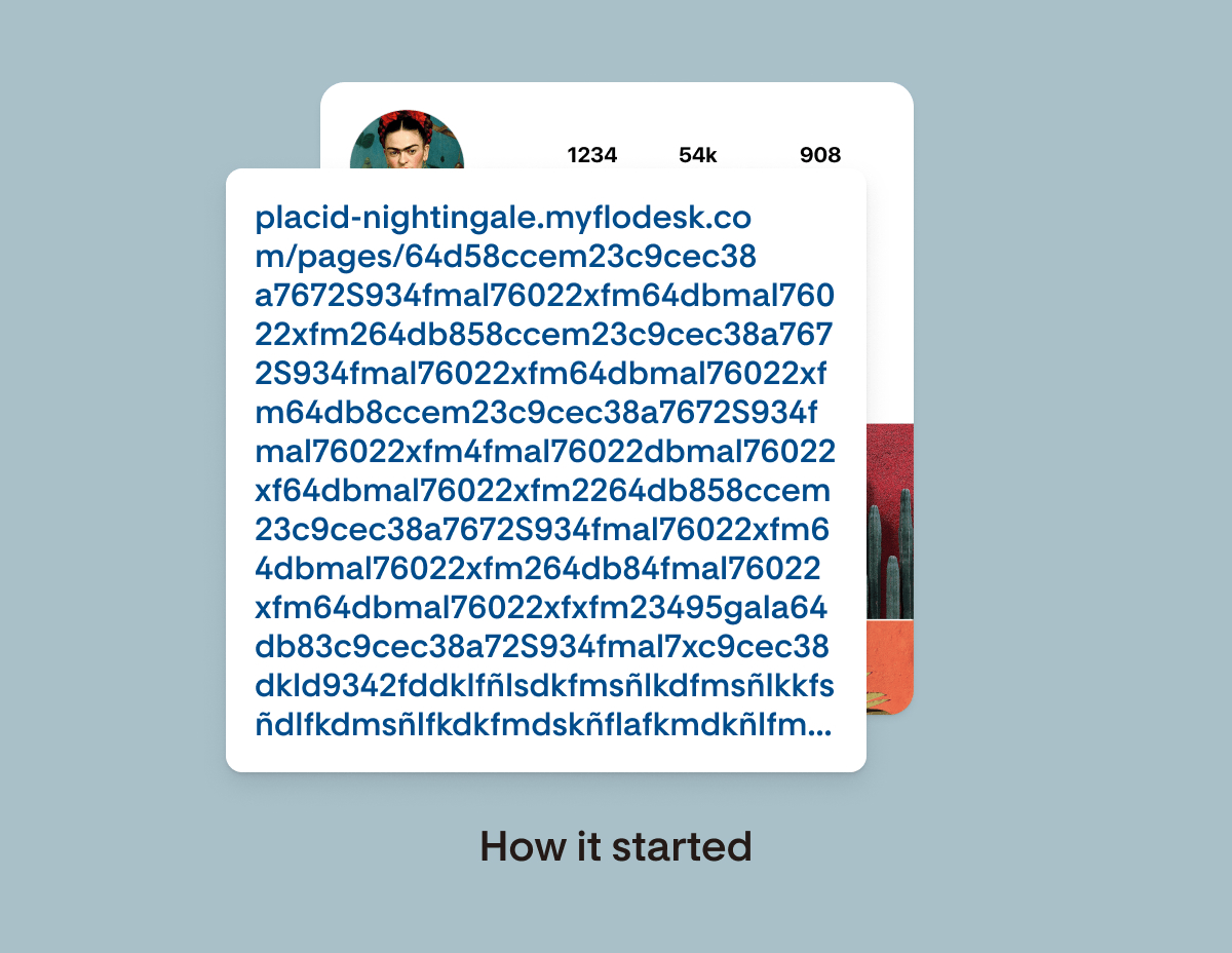 Introducing flodesk handles and custom links