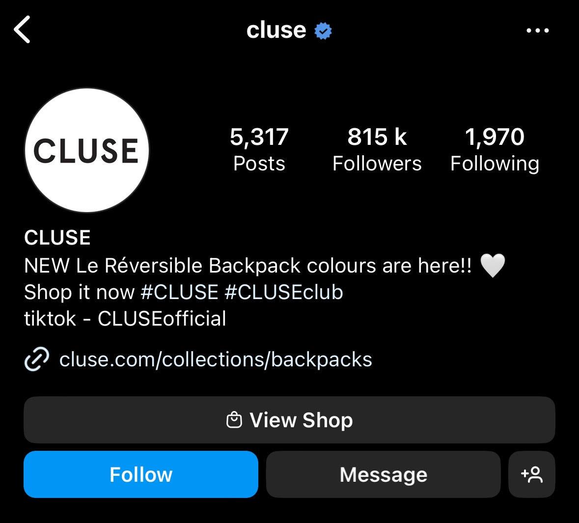 Cluse - example of Instagram business bio