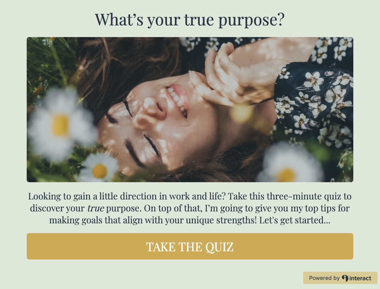 What's your purpose Interact quiz