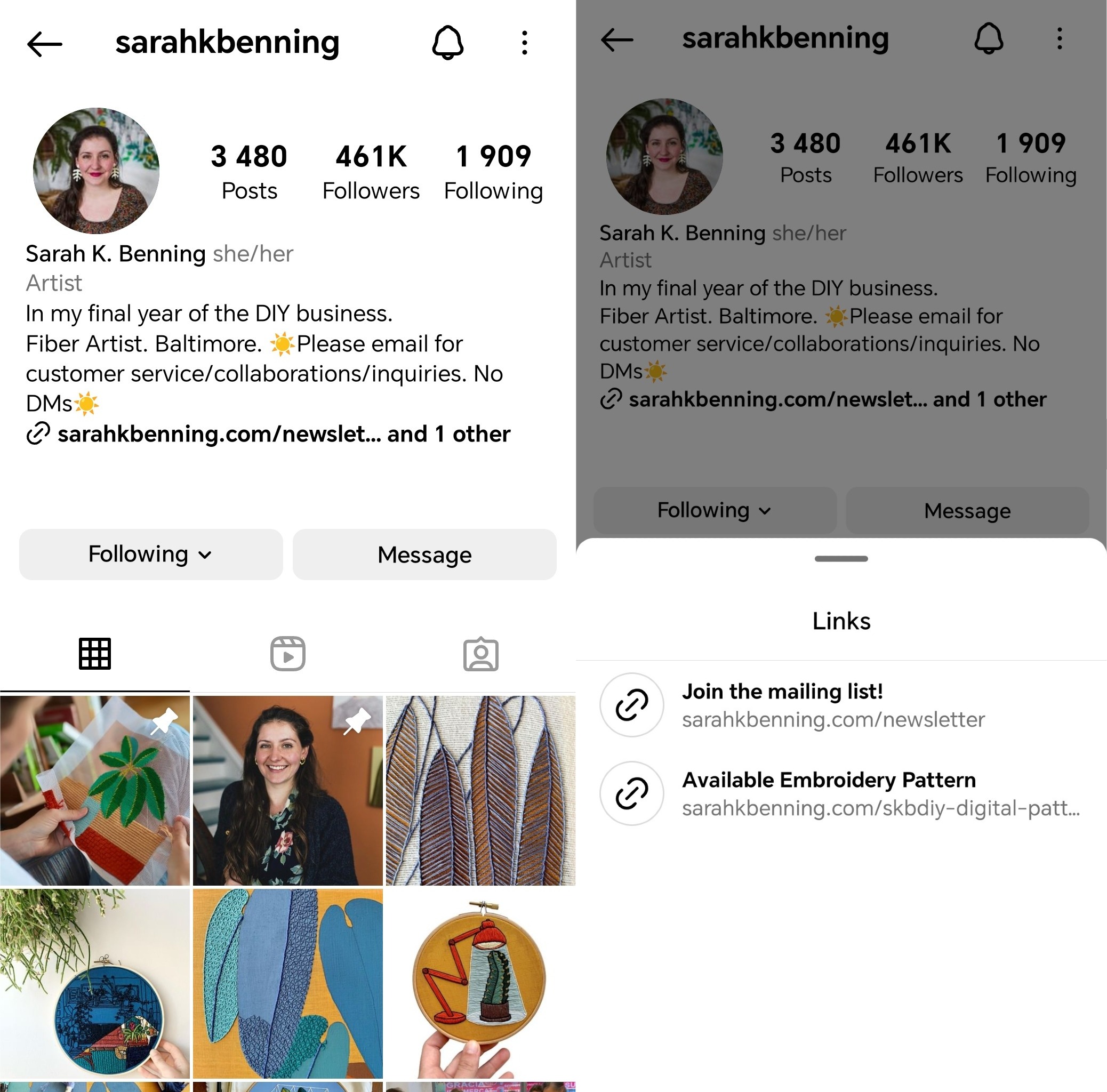 Visual of instagram bio