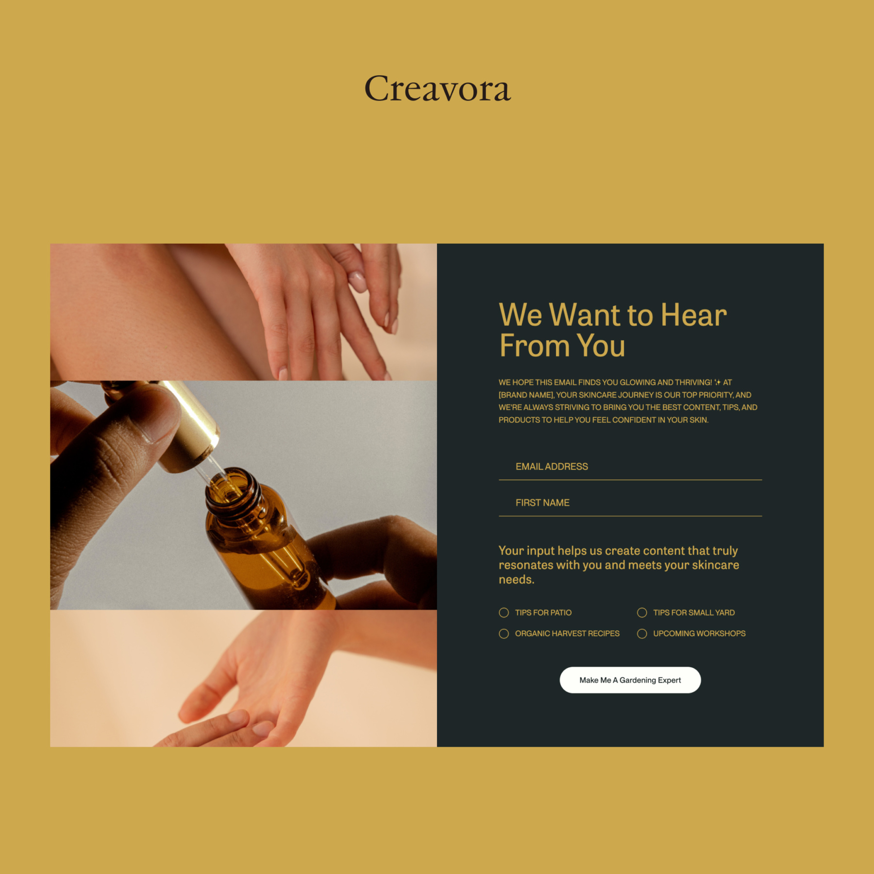 Get 10 top-performing Flodesk Templates from inspiring creators—free ...
